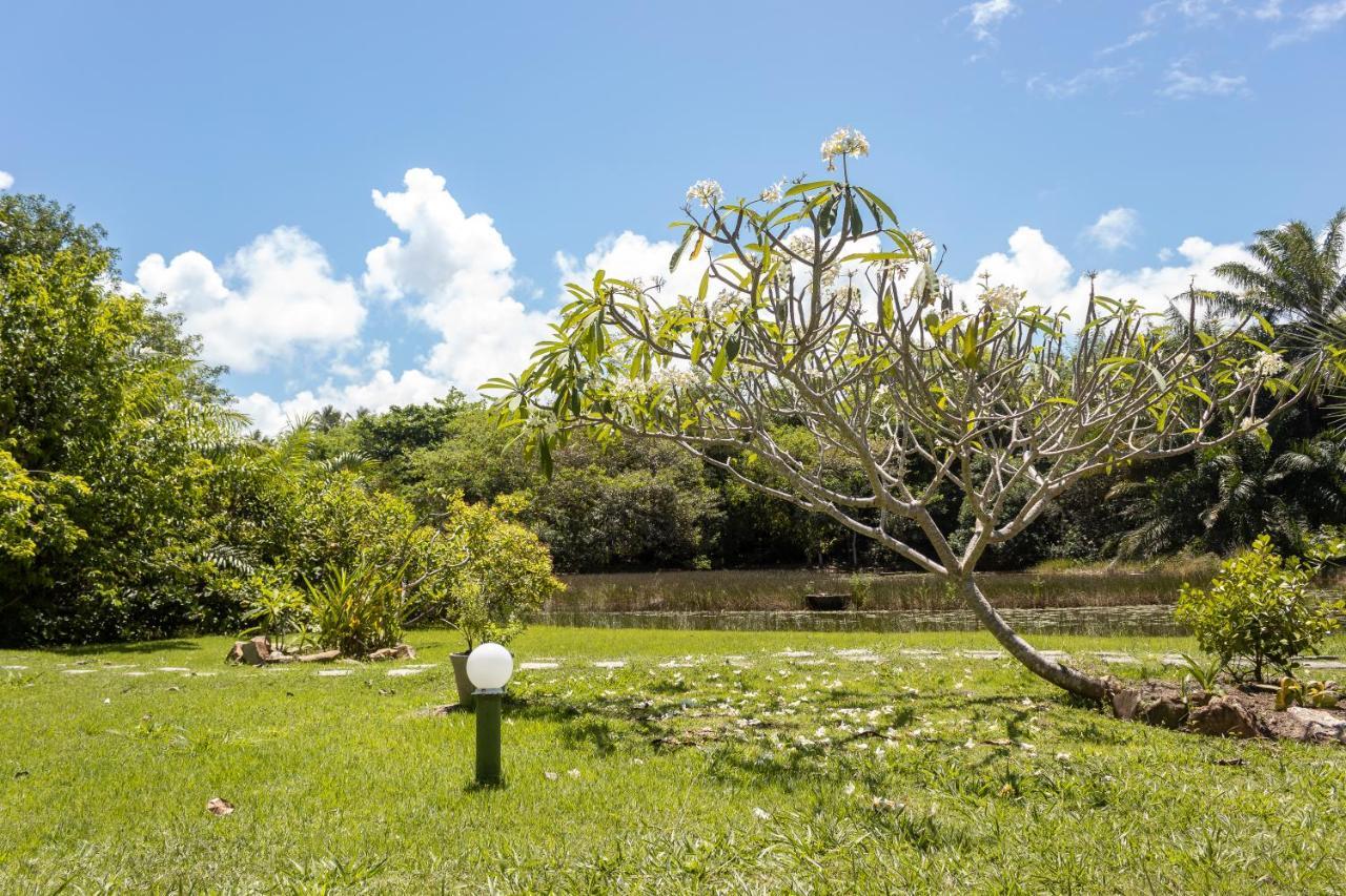 Pousada Lagoa Da Pedra อิมบัสไซ ภายนอก รูปภาพ