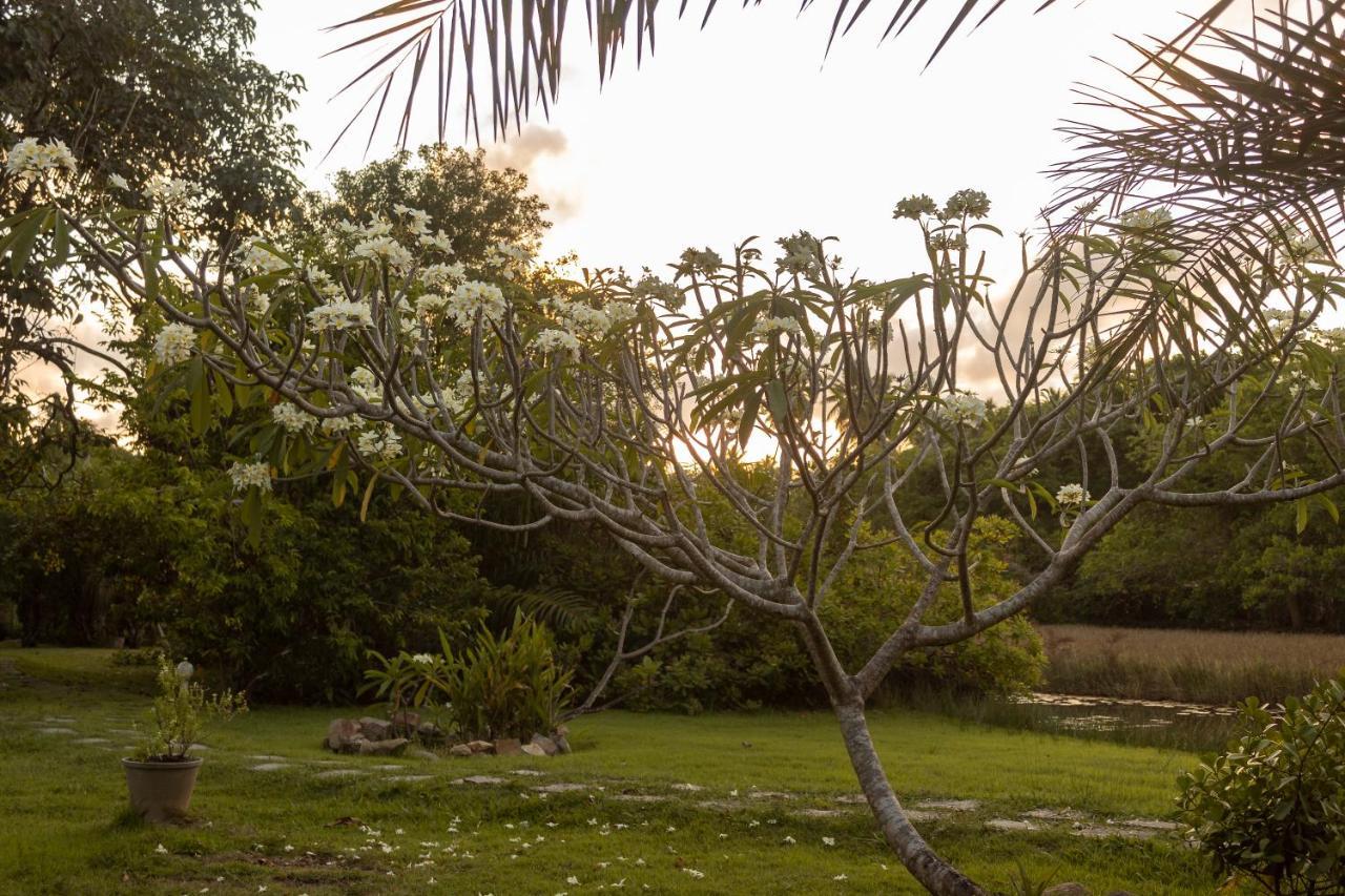 Pousada Lagoa Da Pedra อิมบัสไซ ภายนอก รูปภาพ
